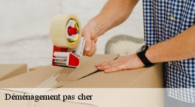demenagement-pas-cher