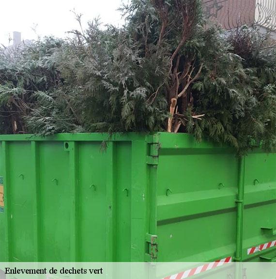enlevement-de-dechets-vert